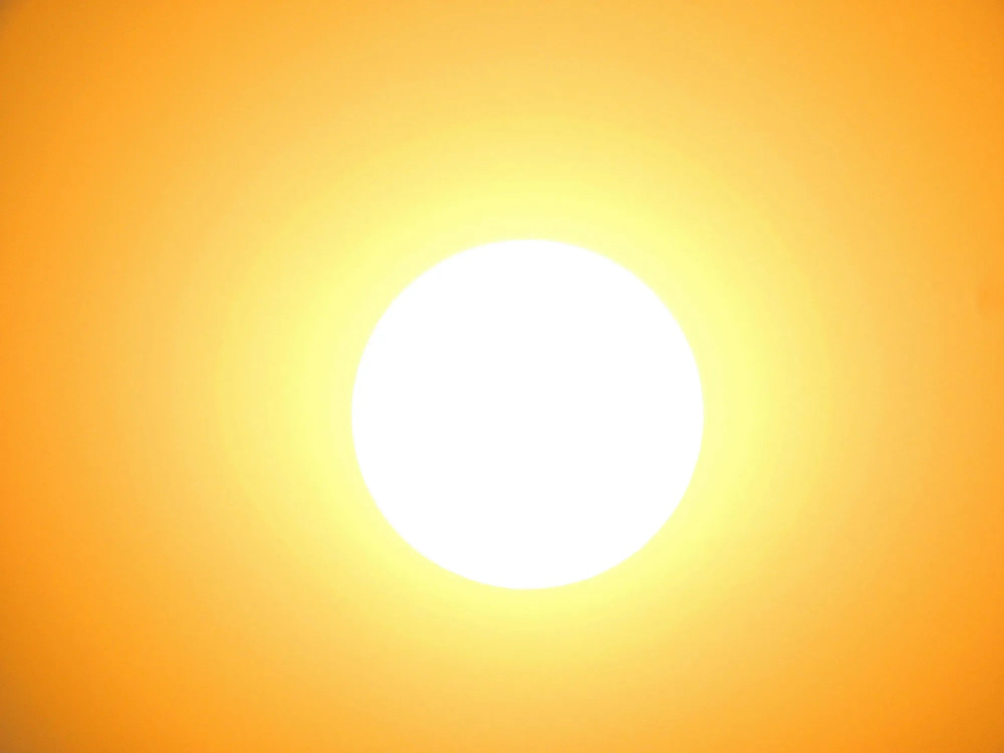 sonnenschutz mit Haarsystem